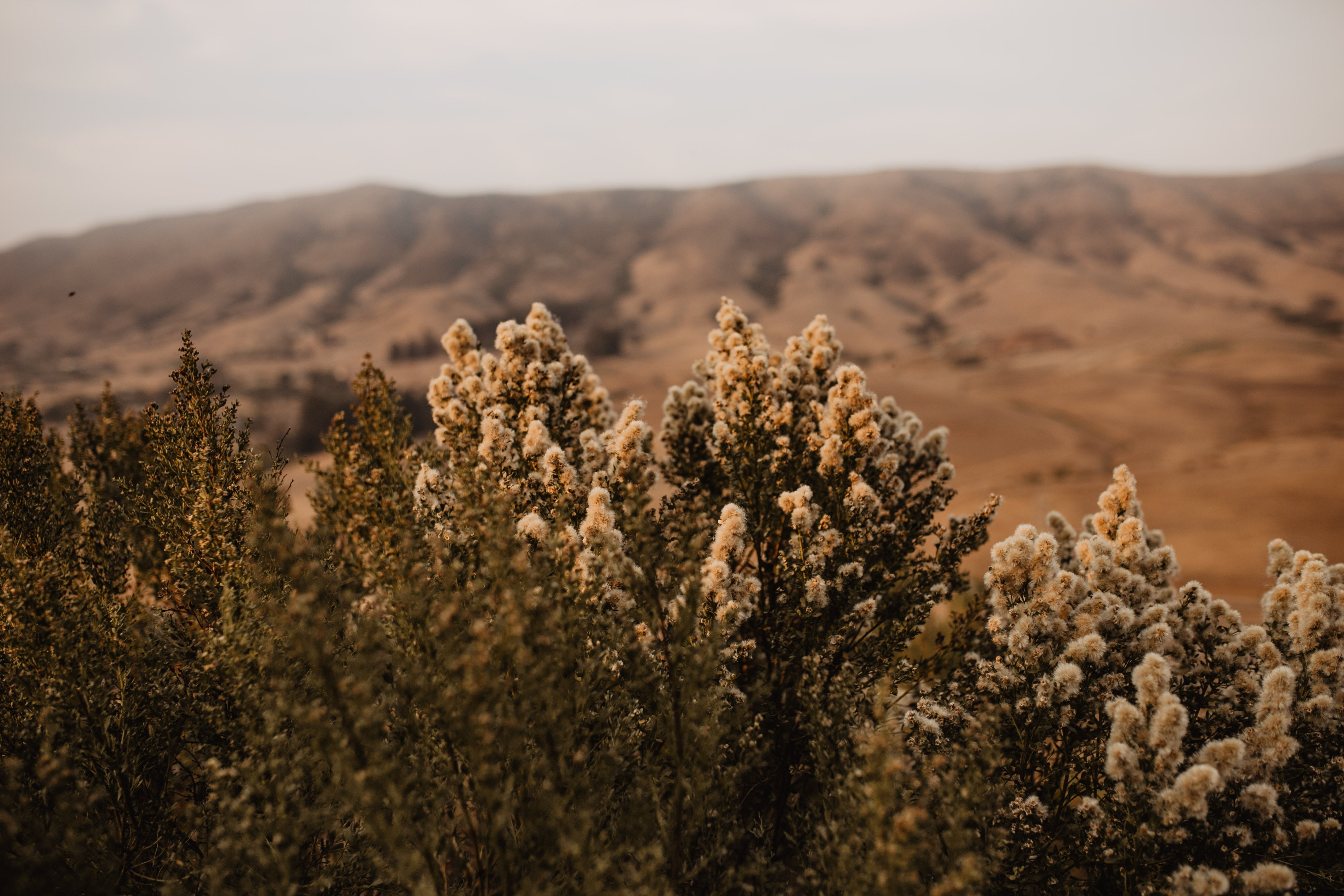 Signature Scents with a Sense of Place