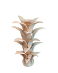 Don Pedro The Palm Candleholder