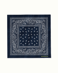 Skyview Bandana Paisley Nomada Signature for Skyview Los Alamos by Nomada Deco