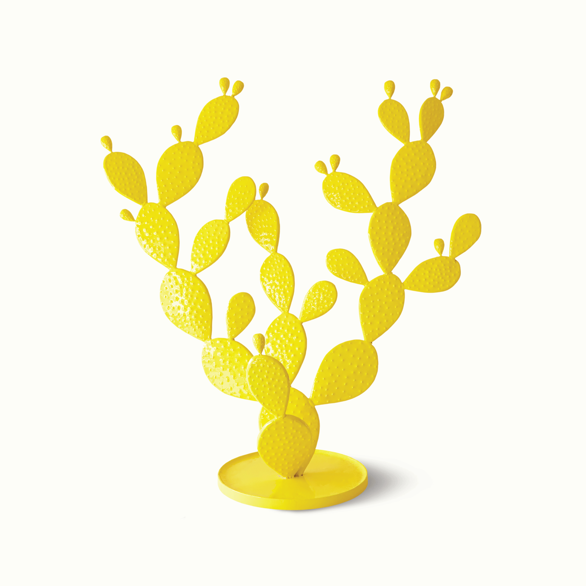 The Skyview Cactus Orange for Skyview Los Alamos by Nomada Deco