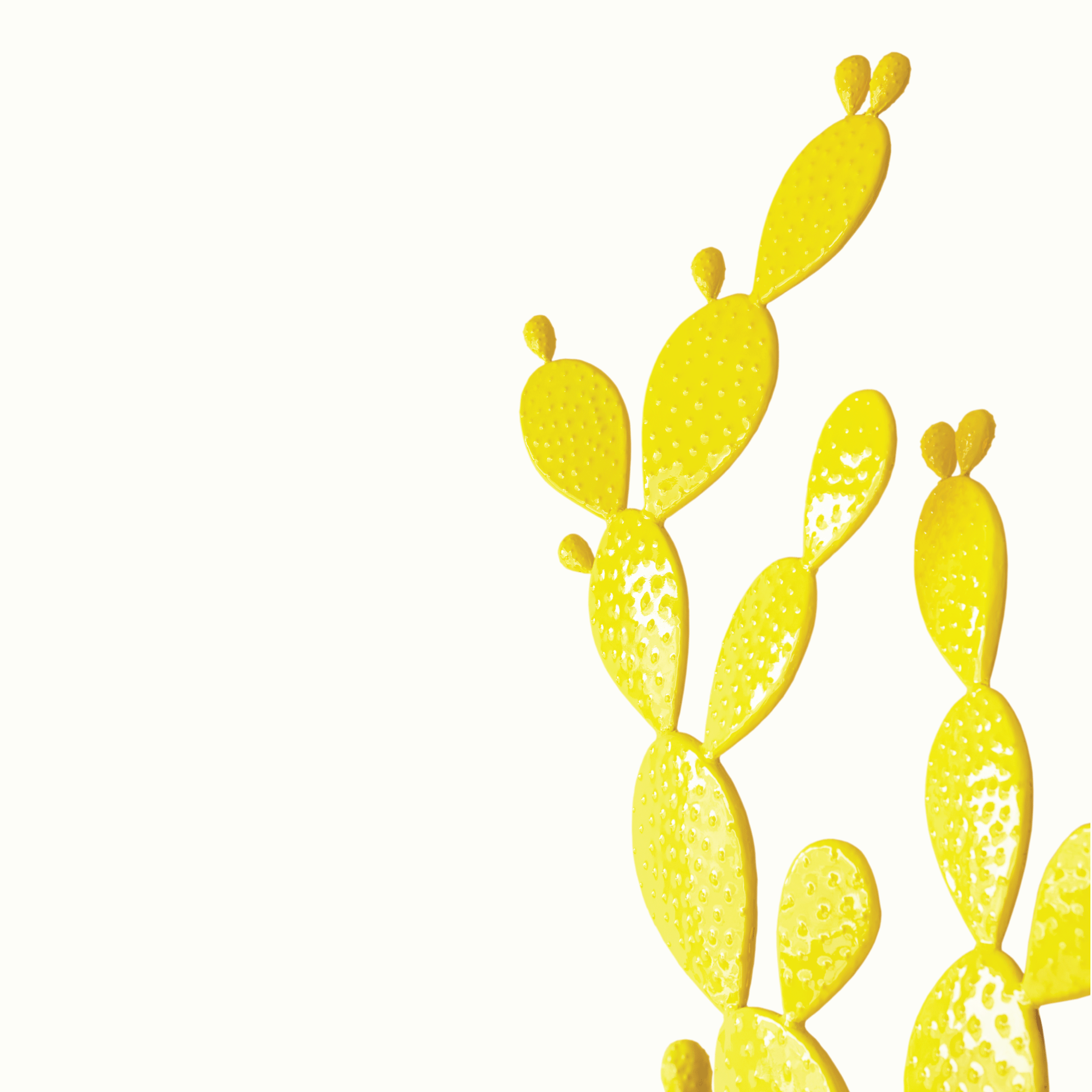 The Skyview Cactus Orange for Skyview Los Alamos by Nomada Deco