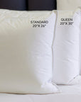 Upside of Down® Compartmented Down and Feather Sleeping Pillow by Down Inc.