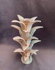 Don Pedro The Palm Candleholder