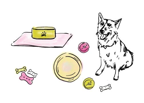 Enhancement - Very Important Pup