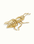 Brass Ant Figurine